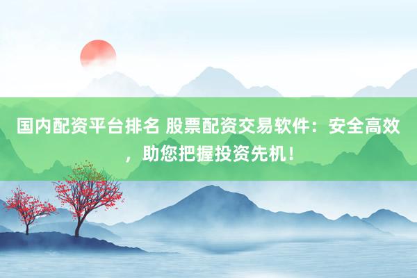 国内配资平台排名 股票配资交易软件：安全高效，助您把握投资先机！