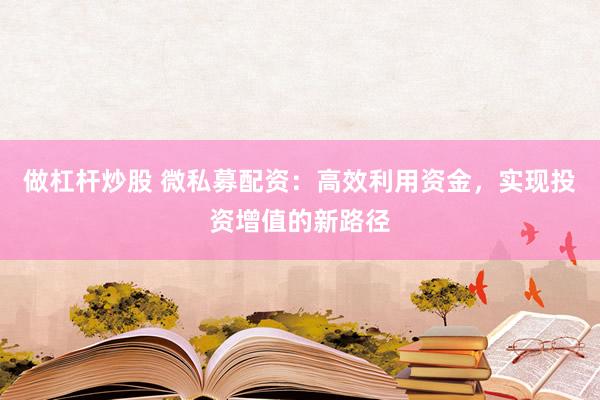 做杠杆炒股 微私募配资：高效利用资金，实现投资增值的新路径